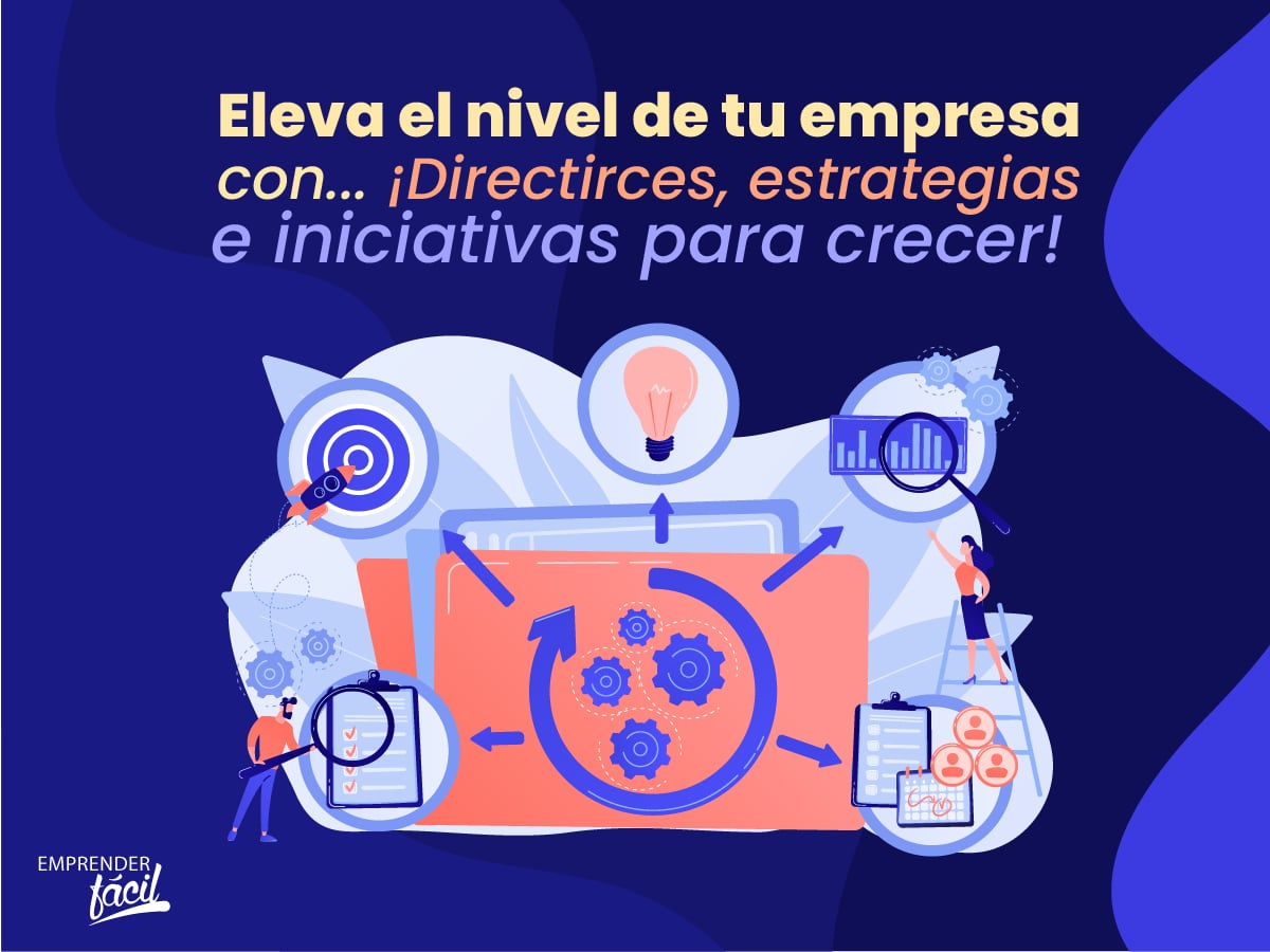 Directrices - estrategias e iniciativas para crecer (I)