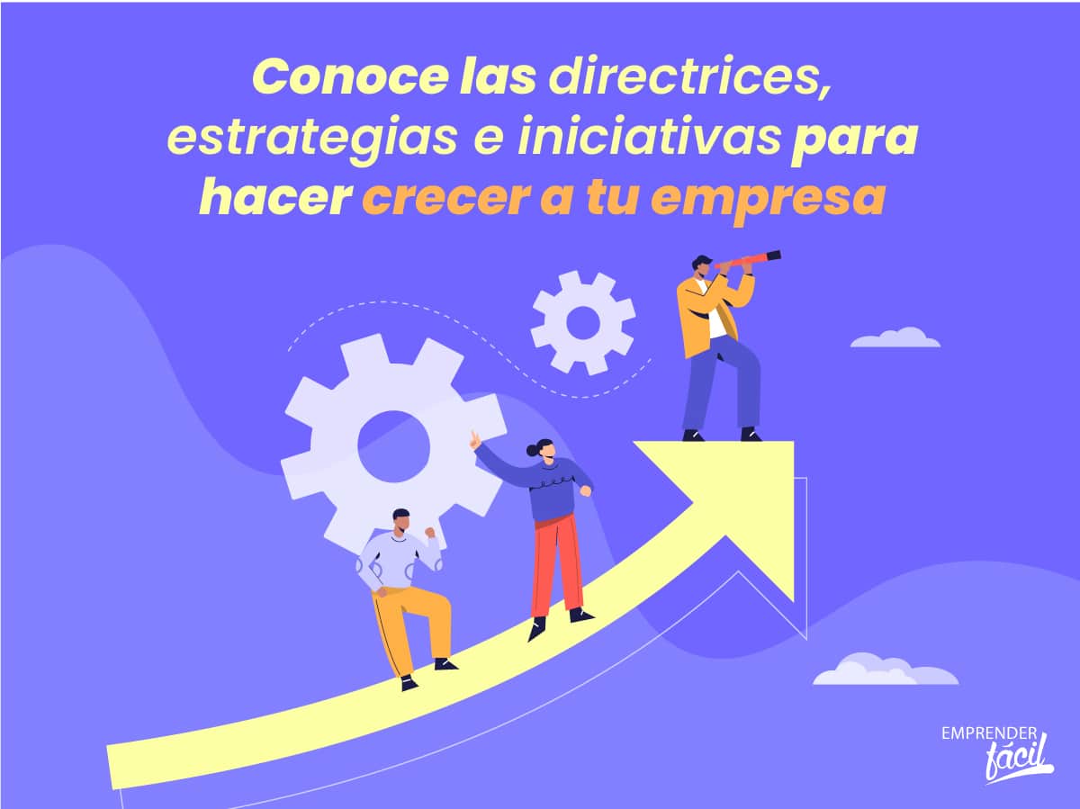 Directrices - estrategia e iniciativas para crecer (II)